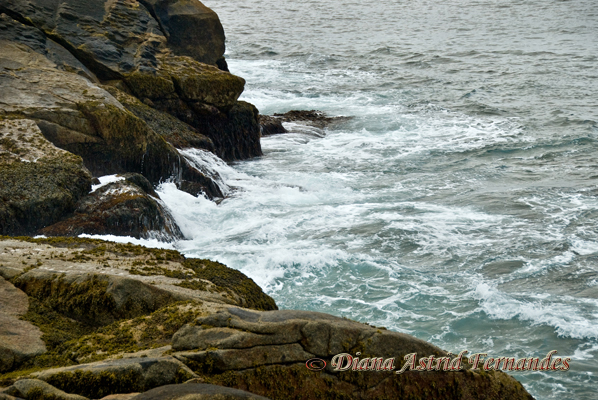 Canada-waves-crashing-on-rocks-Nova-Scotia